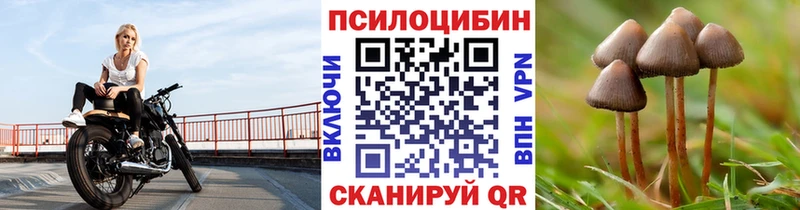 купить   Ковдор  Галлюциногенные грибы Cubensis 