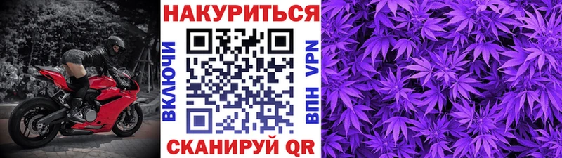 Канабис гибрид  Ковдор 
